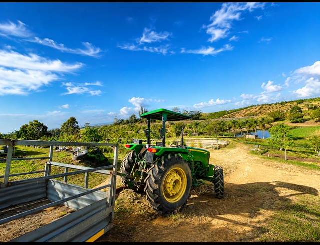 FARM FOR SALE IN IZOTSHA